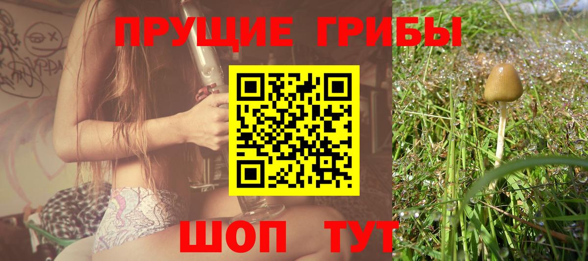 Псилоцибиновые грибы GOLDEN TEACHER  как найти   Вход с VPN  Ишимбай  Псилоцибиновые грибы мухоморы 